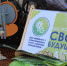В школах Тюменской области набираются бесплатные группы по робототехнике и программированию - Сладковский район