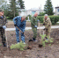 Зелёный сквер - Сетевое издание Трудовое знамя