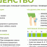 Бешенство: как не стать жертвой опасной инфекции - Сладковский район